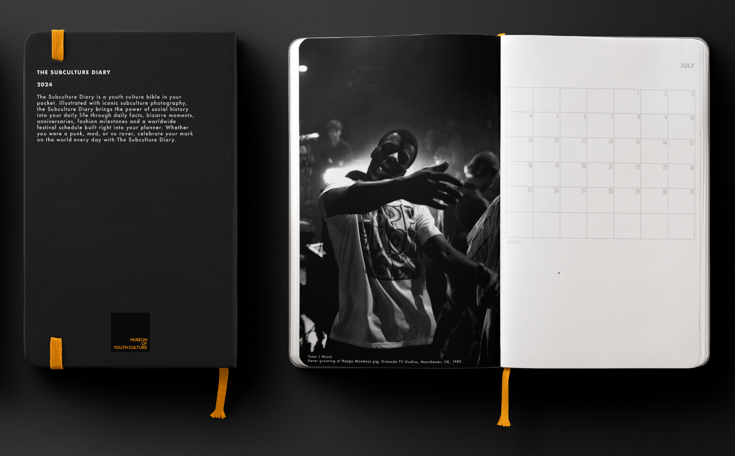 The Subculture Diary 2024